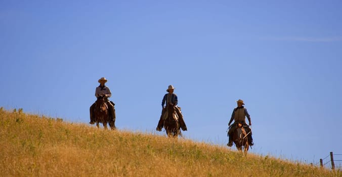 Three cowboys coming over the hill