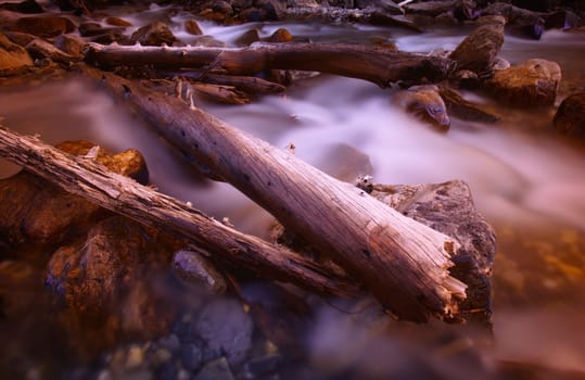 A close-up of a rushing stream with driftwood