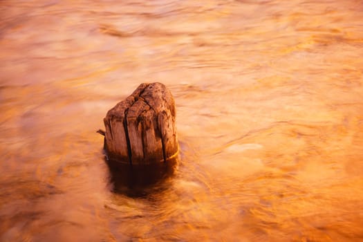 A tree stump in a body of water with sunlight reflecting off the water