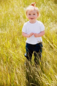 Child stands in a wheat field