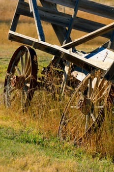 Wagon