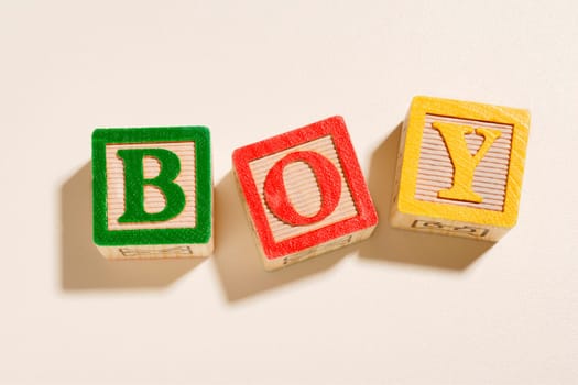 Boy