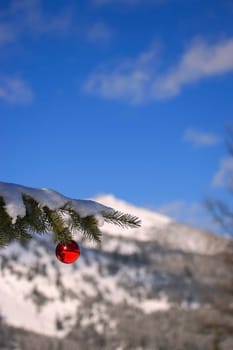 A Christmas decoration in the mountains