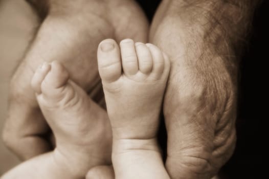 Little toes