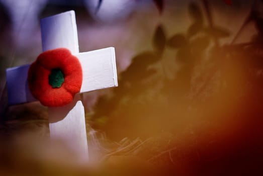 Remembrance Day