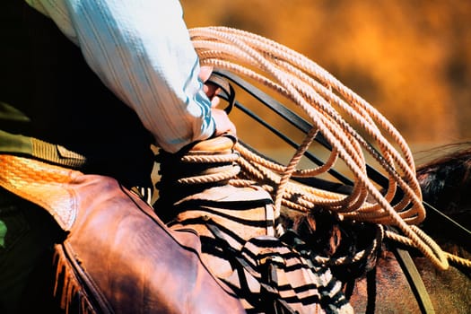 Cowboy with rope
