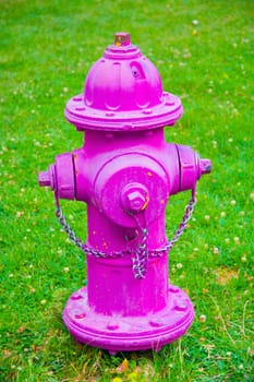 A bright pink fire hydrant