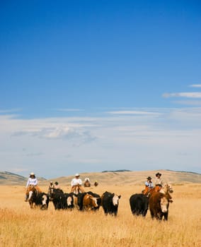 Cowboys on horseback
