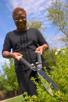 Woman cutting hedges