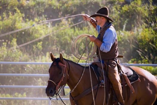 Cowboy with lasso