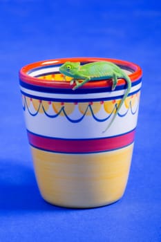 A bright green lizard