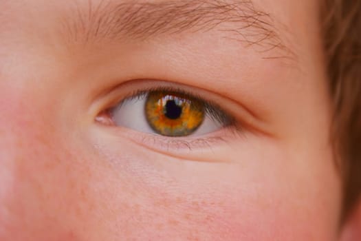 Closeup of a hazel eye color