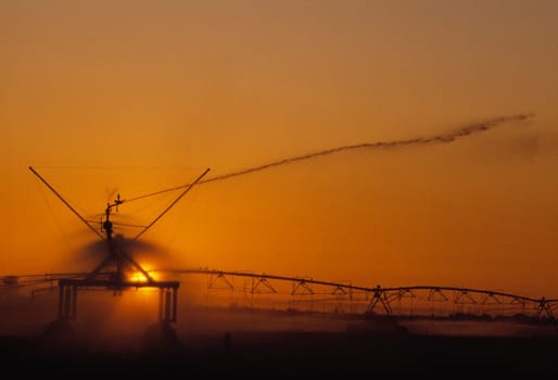 Irrigation system in California