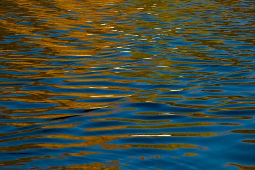 Ripples in water