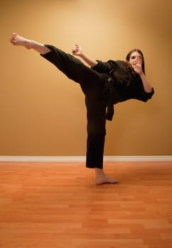 Martial artist's kick