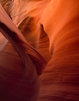Interesting arc curves in the walls of Antelope Canyon