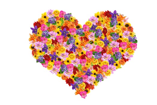 Flower Heart
