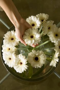 Flowers on Table
