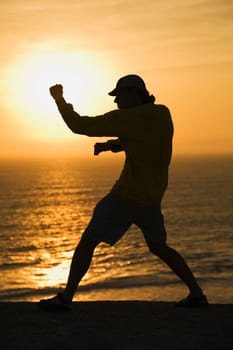 Martial artist on beach