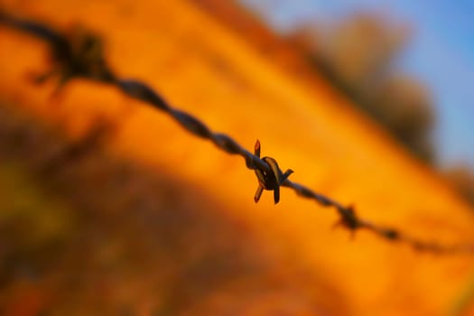 Close up of barbed wire fence