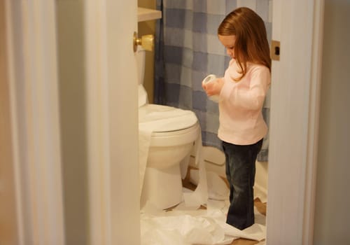 Toilet paper temptation