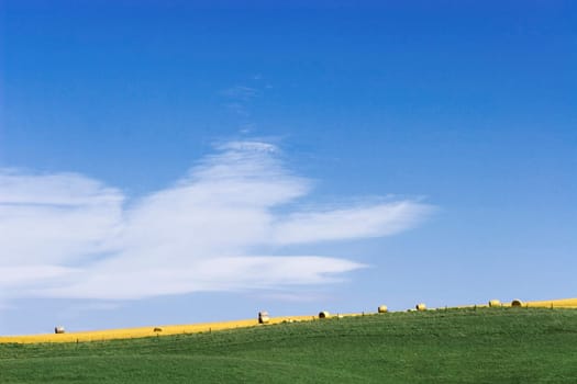 A rolling field