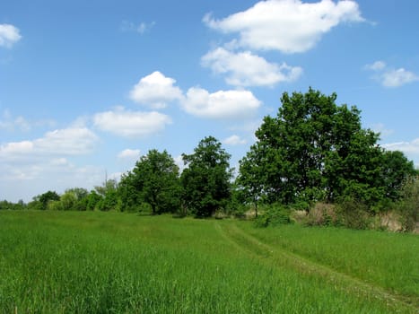 Pure nature