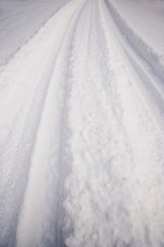 Tracks in the snow