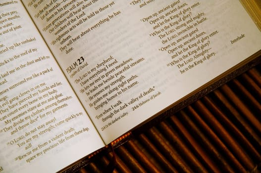 Psalm 23