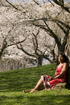 Woman relaxing under cherry tree blossoms