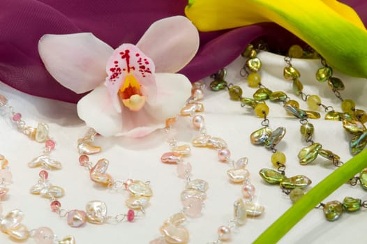 Orchid still life