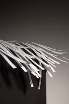 Shredded paper can