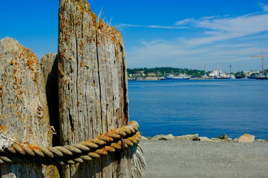 Coastal View