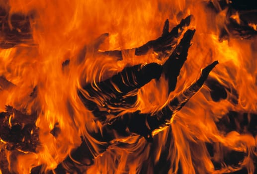Burning tree stump