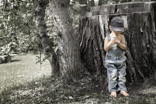 Little boy with ice cream cone
