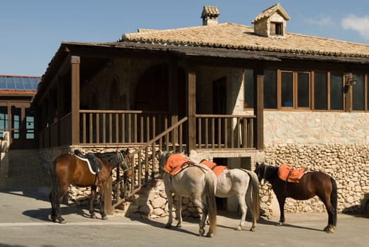 Horses for hire outside restaurant, El Peñon, Sevilla Province, Andalucia, Spain