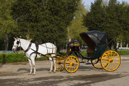 Horse and carriage in the Plaza de Espana, Seville, Spain