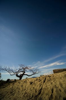 Desolated sandy beach