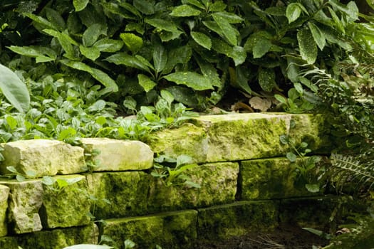 Stone wall