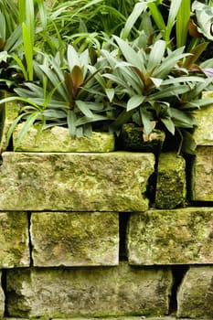 Stone wall