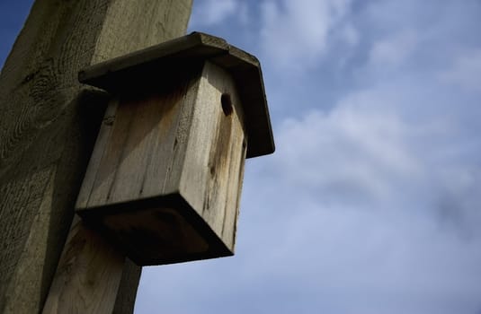 Bird house