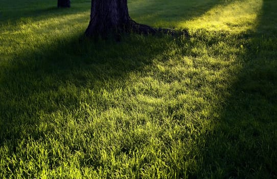 Light breaking shadows