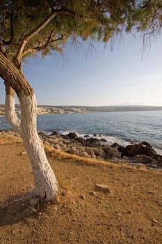 Coast of Crete