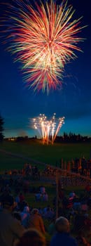 Fireworks display in the sky