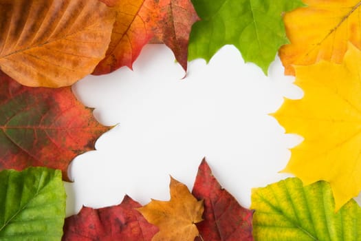 Autumn Leaves Background