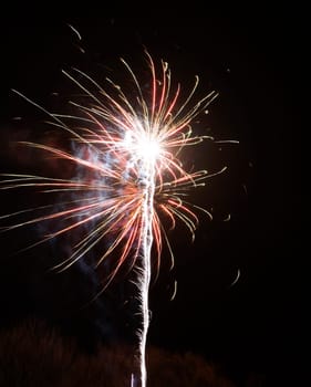 Fireworks in the night sky