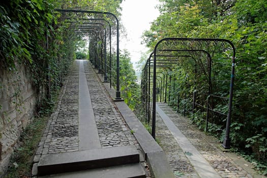Path