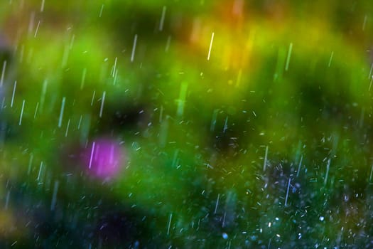 Rainfall