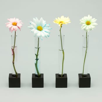 Four flowers