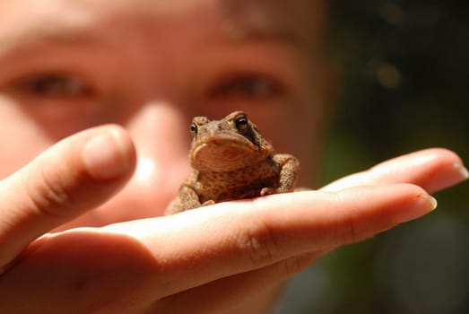 Holding a frog